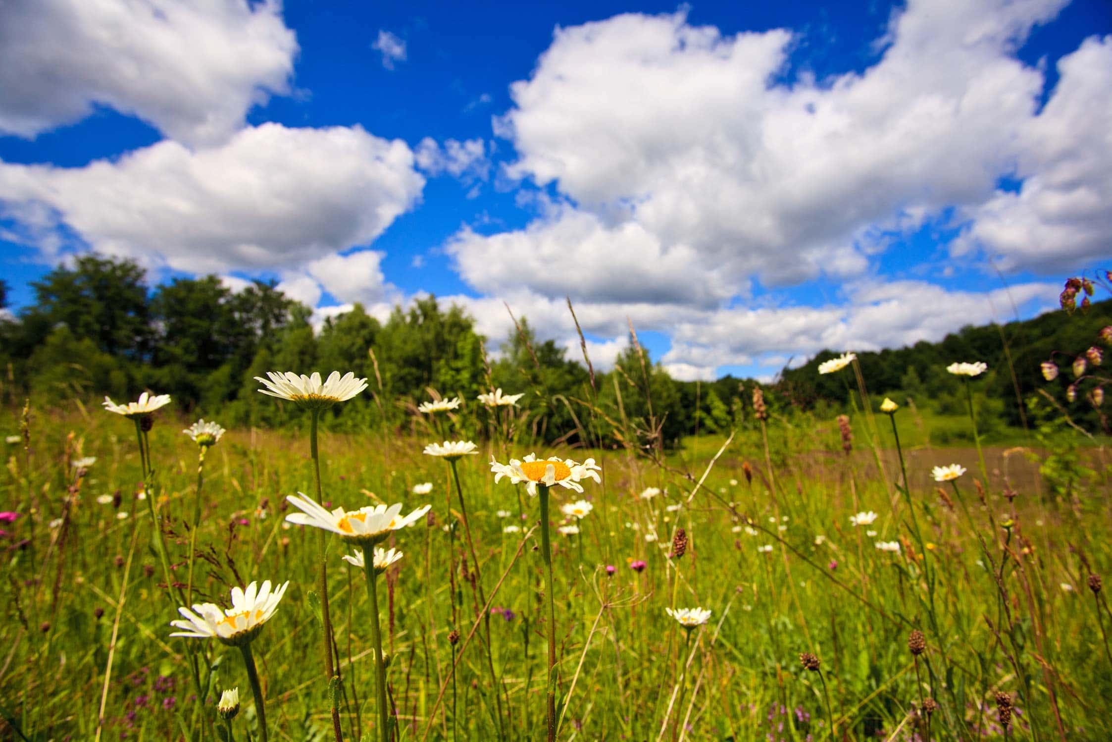 featured-image